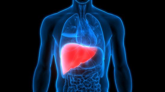 Liver Impact 1