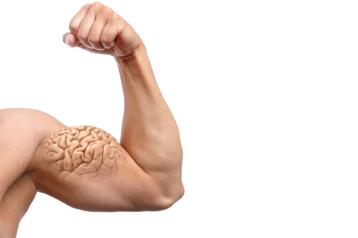 Muscle 02 1