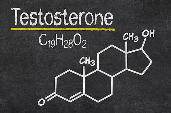 Testosterone Structure 1