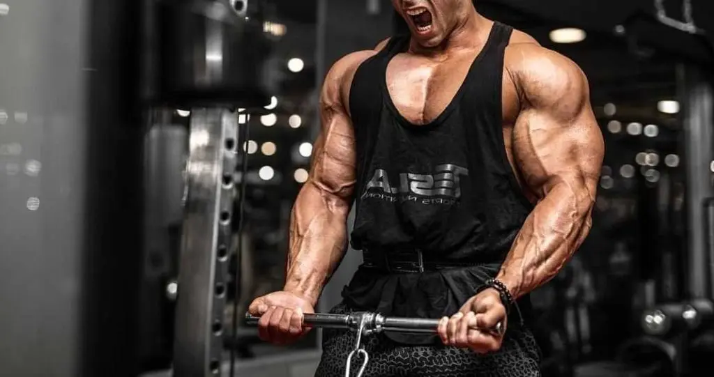 A Man Lifting Weights In A Gym