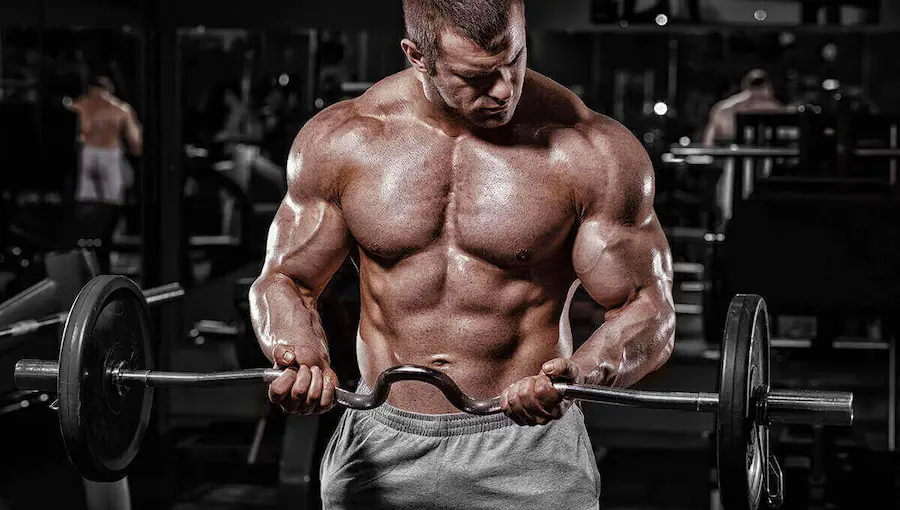 A Man Lifting Weights In A Gym
