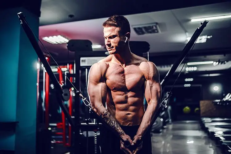 Bodybuilder and muscle growth process